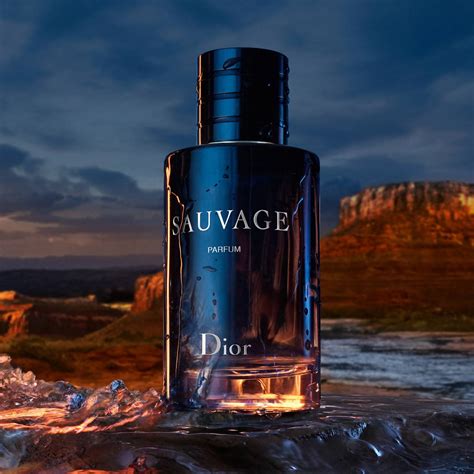 sauvage dior eau de parfum 100ml prix|dior eau sauvage parfum 100ml.